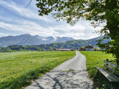 Bild 8 aus  Beim Melchern