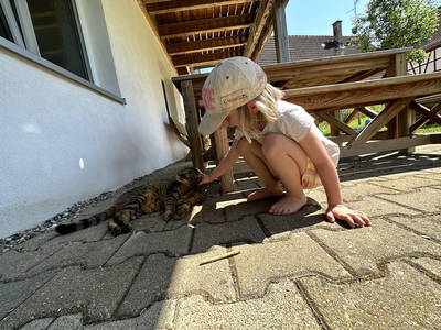 Bild 28 aus  Hof am KrämersBug