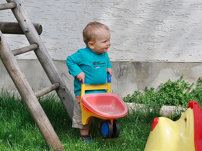 Bild 18 aus  Ferienhof Landhaus Guglhupf