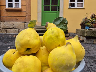 Bild 10 aus  Hanselhof 26