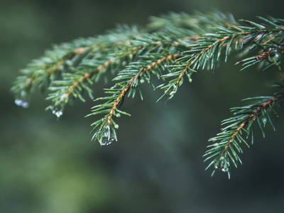 Bild 18 aus  Gutshof Armbruster