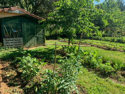 Bild 34 aus  Le Colombié - Ferienhäuser an der Dordogne mieten