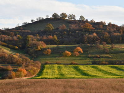 Landschaft bei Ickelheim