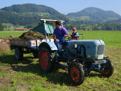 Bild 21 aus  Zacherlhof