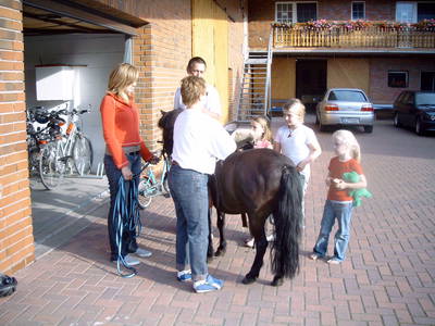 Pony bei der Arbeit.