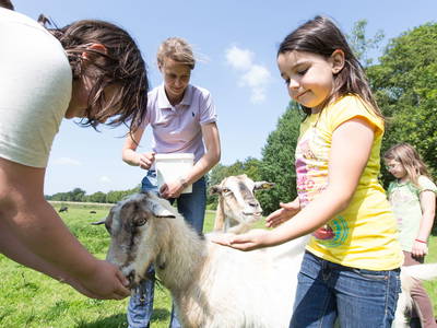 Bild 19 aus  Ferienhof Stegen