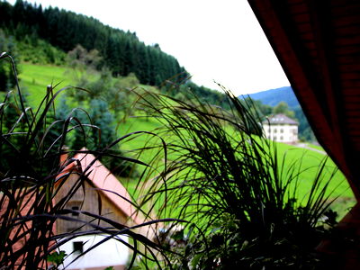 Bild 12 aus Bläsihof