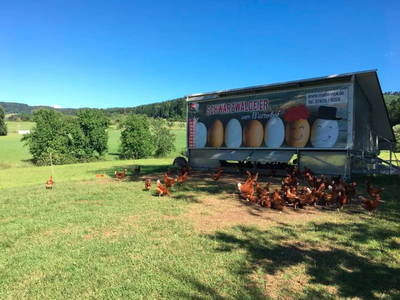 Bild 13 aus  Ferienpension-Bauernhof Mattenhof