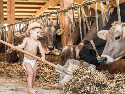 Der Stall ist immer geöffnet