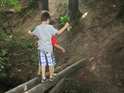 Bild 19 aus  Ferienhof Larrieder Mühle