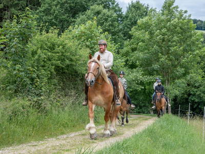 Bild 17 aus  Nengshof – Natururlaub in der Eifel