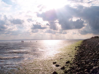 Bild 30 aus  Nordseefewo Lämmerblick