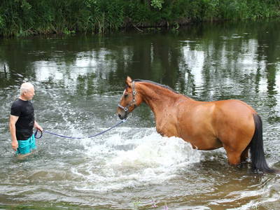 Bild 15 aus  Gutshof Dragefeld