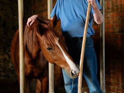 Bild 9 aus  Reiter- und Ferienhof Redder