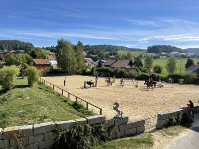 Bild 12 aus  Reitschule Fuchsenhof FN