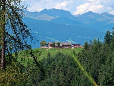 Bild 19 aus  Platzerhof