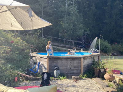 Bild 16 aus  Arabian Harmony