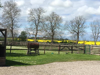Viel Platz/Natur drumherum. 2 ha (20.000 qm) Hofgrundstück.