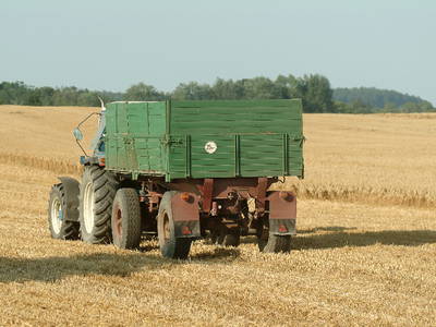 Bild 42 aus  Hof Schlossblick  " der etwas andere Bauernhof "