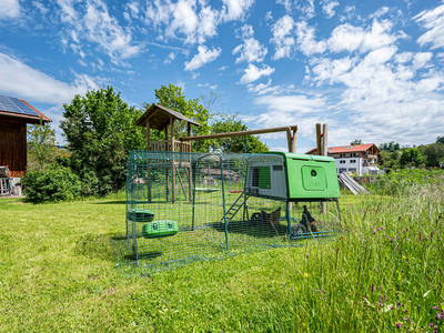 Bild 5 aus  AlpenFerienLandhaus Müller