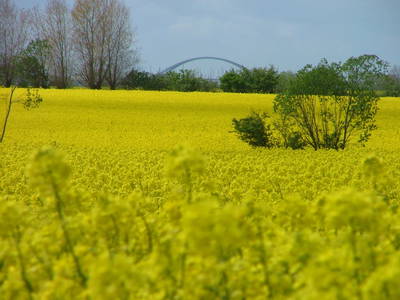 Bild 13 aus  Ferienhof Sporleder