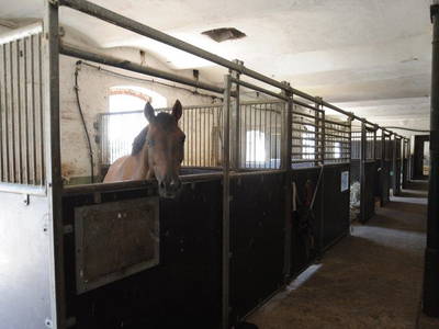 Bild 15 aus  Luisenhof Paretz