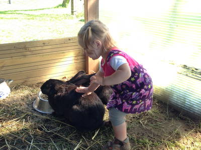 Bild 3 aus  OstseeBauernhof Schönhagen