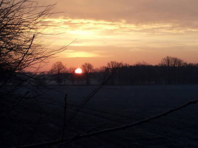 Bild 5 aus  Gut Burghof