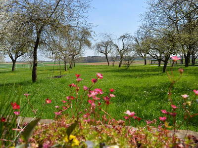 Bild 5 aus  Ökoferienhof Retzbach