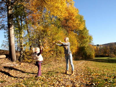 Bild 22 aus  Ferienhof Jakob, Rohrhof