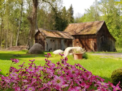 Bild 50 aus  Ferienhof Meinerdingen GbR