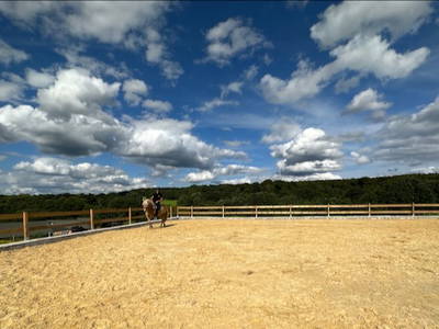 Bild 36 aus  Soodehof  Eins - Ihr Kinder-Erlebnisbauernhof in Nordhessen
