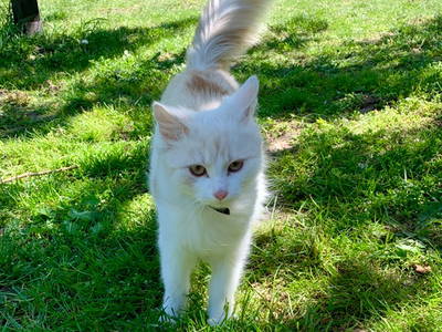 Bild 27 aus  Gut Pälitzhof