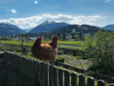 Bild 33 aus  Sinnhubgut