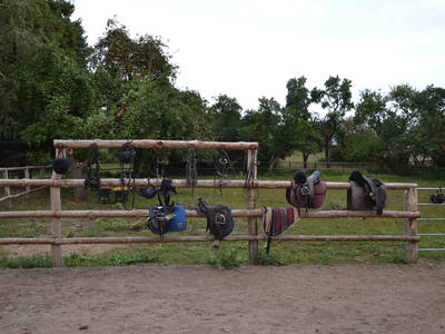 Bild 6 aus  Landhaus Parsteinsee