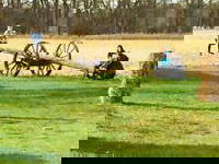 Bild 8 aus  Ferienhof Haselheide