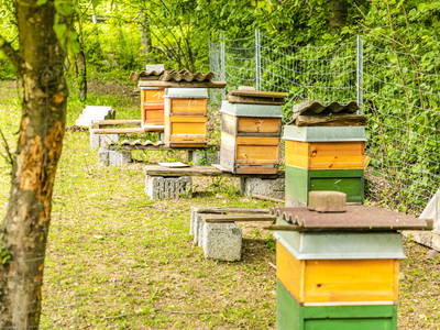 Bild 35 aus  Biobauernhof Peter Anderl Hof