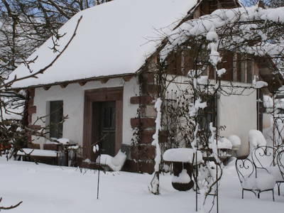 Bild 4 aus  Backhaus Grüntal
