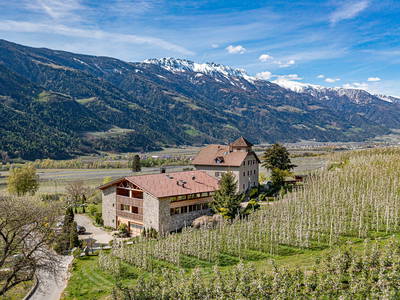 Bild 4 aus  Pröfinghof