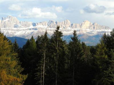 Bild 6 aus  Schadnerhof