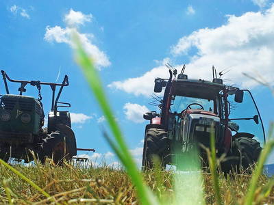 Bild 20 aus  Willkommen bei Familie Gutmann  auf dem Itzenwaldhof