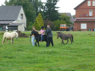 Bild 22 aus  Ferienhof Meyer