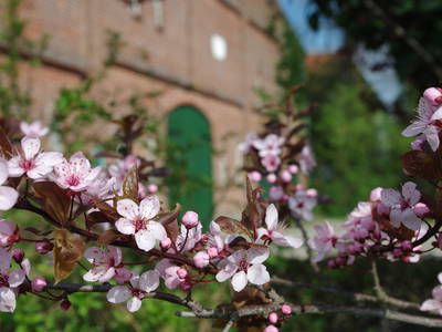 Bild 4 aus  Ferienhof Kleingarn