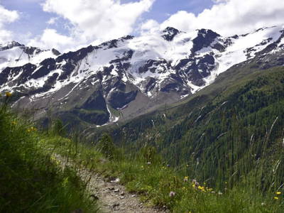 Bild 12 aus  Natürliches Ferienwohnen