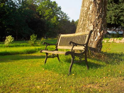 Bild 39 aus  Ferien am Schloss