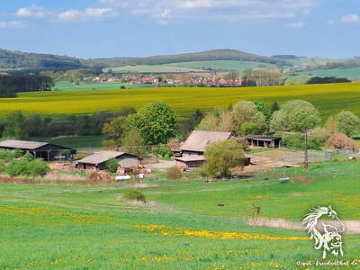 Bild 18 aus  Gut Friedenthal