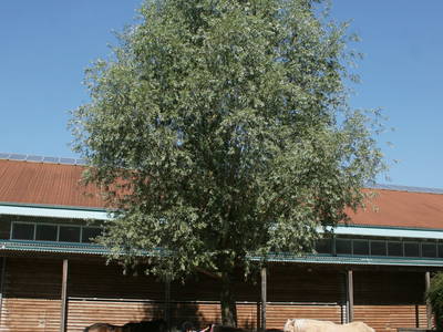 Bild 7 aus  Fenwick Farm