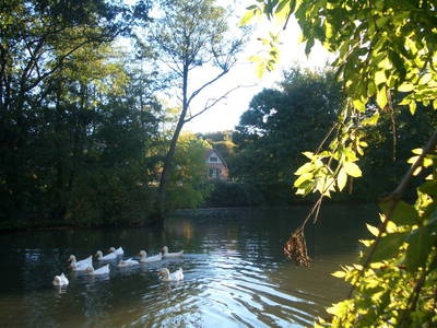 Bild 14 aus  Ferienhof Reckziegel