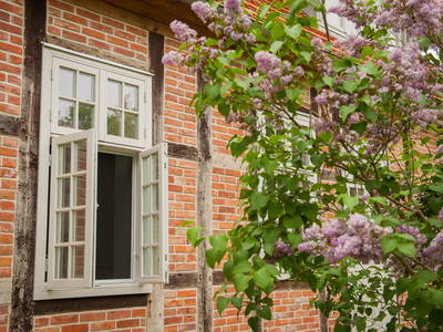 Bild 6 aus  Gut Groß Zecher