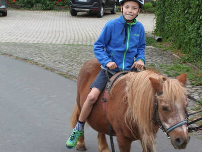 Bild 13 aus  Schmiedshof